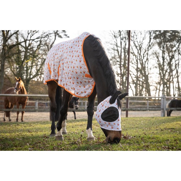 Κουβέρτα Εντόμων-Splash-