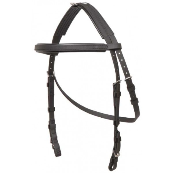 Χαλινό- Hackamore