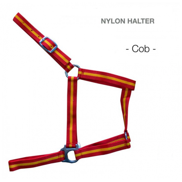 Καπίστρι Ισπανικό 1