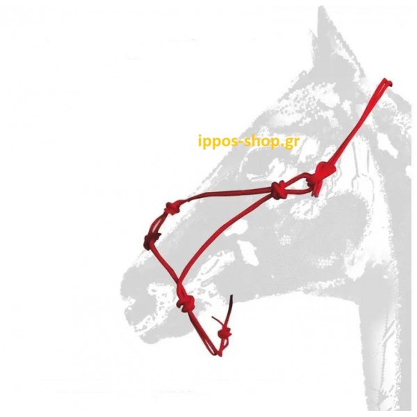 Εκπαιδευτικό Καπίστρι με Κόμπους
