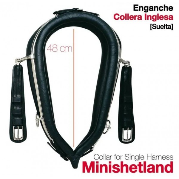 Εξάρτημα Collar - Minishetland