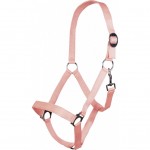 Καπίστρι -Stars Economy Softice-