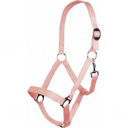 Καπίστρι -Stars Economy Softice-