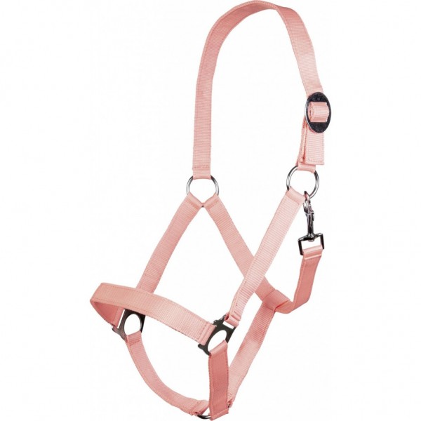 Καπίστρι -Stars Economy Softice-