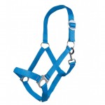 Καπίστρι -Stars Economy Softice-