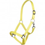 Καπίστρι -Stars Economy Softice-