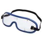 Clear Lens Goggles