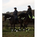 Reflex Set για Χαλινά Reflex Set για Χαλινά