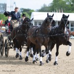 Σετ Άμαξας Για Team - Classic Σετ Άμαξας Για Team - Classic