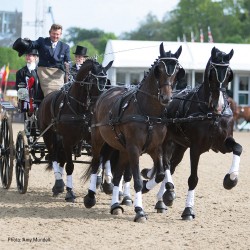 Σετ Άμαξας Για Team - Classic 