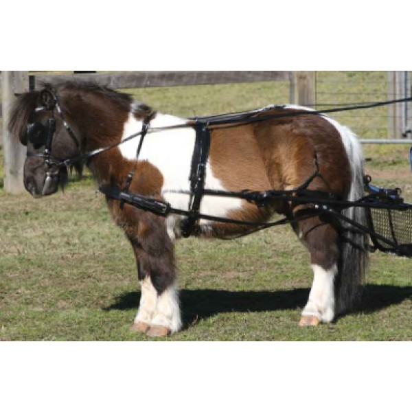 Σετ Άμαξας για Άλογο Σέτλαντ - SL Single 