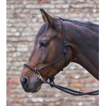 Καπίστρι-Χαλινό με Κρίκους και Ηνία