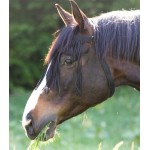 Προστατευτικό Ματιών Προστατευτικό Ματιών