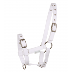 Καπίστρι για Πουλάρι