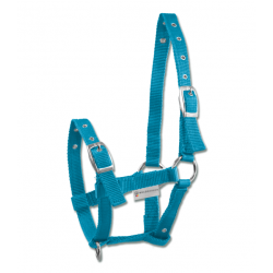 Καπίστρι για Πουλάρι