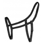 Καπίστρι Αγρού