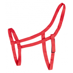 Καπίστρι Αγρού