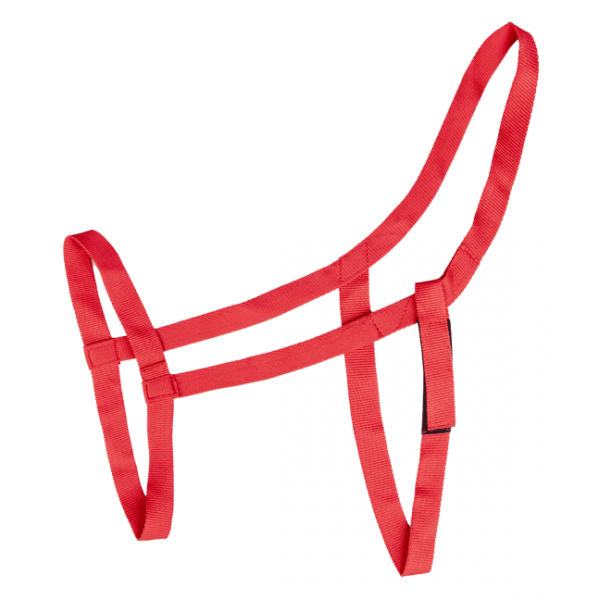 Καπίστρι Αγρού