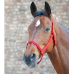 Καπίστρι Αγρού