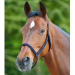 Καπίστρι Αγρού