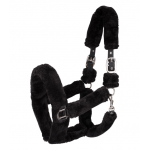 Καπίστρι- Cozy