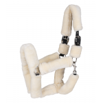 Καπίστρι- Cozy