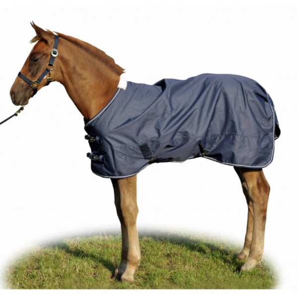 Κουβέρτα Πόνυ-Πουλάρι -Professional- Κουβέρτα Πόνυ-Πουλάρι -Professional-