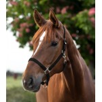 Καπίστρι- Perlon