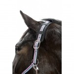 Προστατευτικό Καπιστριού