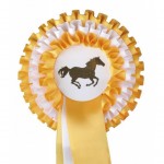 Κονκάρδα Τριπλού Σχεδίου