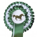 Κονκάρδα Τριπλού Σχεδίου