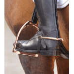 Σετ Σπιρούνια- Rose