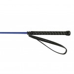 Μαστίγιο Dressage