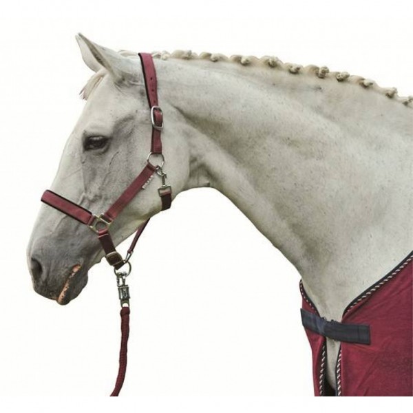 Καπίστρι -Stars- με μαλακή επένδυση