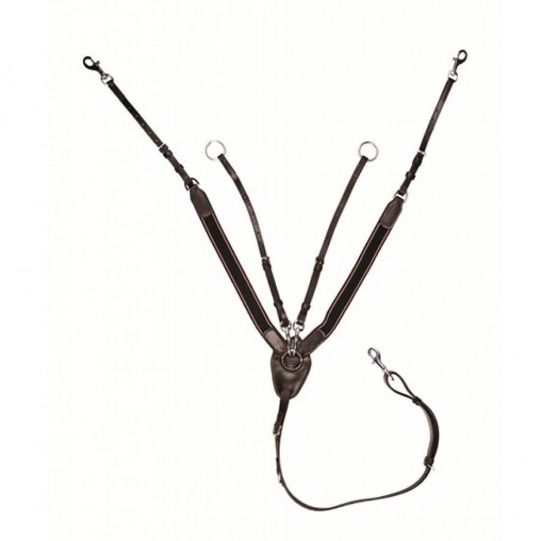 Μαρτιγκάλα - Προστερνίδιο