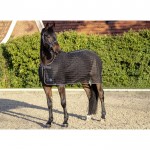  Κουβέρτα Εντόμων