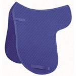 Αθλητικό Ντρεσάζ