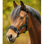 Καπίστρι Συραγώγησης- Economic Καπίστρι Συραγώγησης- Economic