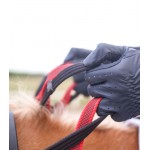 Προστερνίδιο - Μαρτιγκάλα Secutrust Με Ηνία Ασφαλείας Προστερνίδιο - Μαρτιγκάλα Secutrust Με Ηνία Ασφαλείας