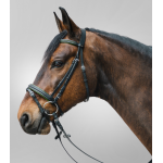 Χαλινό STAR DIAMOND Χαλινό STAR DIAMOND