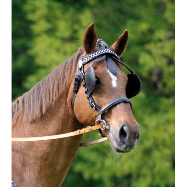 Χαλινό με Παρωπίδες 