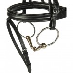 Ανατομική Αρθρωτή 18 χιλ.  Αργεντάνιο