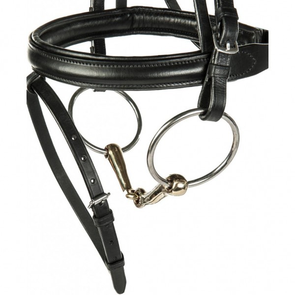 Ανατομική Αρθρωτή 18 χιλ.  Αργεντάνιο