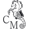 CM- Cavallino Marino