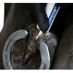 Hypozin 100gr. Hypozin 100gr.