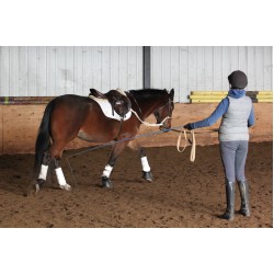 Εκπαιδευτικά Μαστίγια